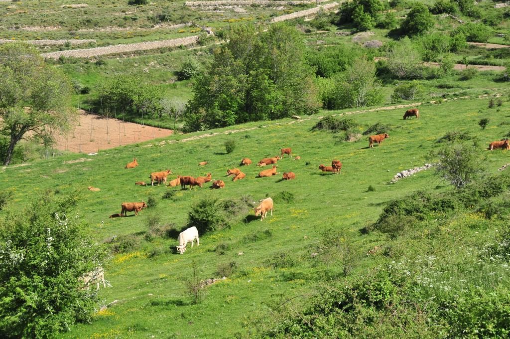 Casa Rural El Boixar - El Mirador Bojar Ngoại thất bức ảnh